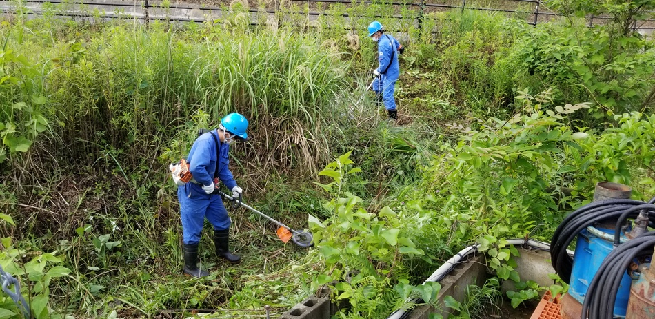 清掃活動